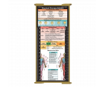 WhiteCoat Clipboard® Trifold - Tactical Brown Physical Therapy Edition